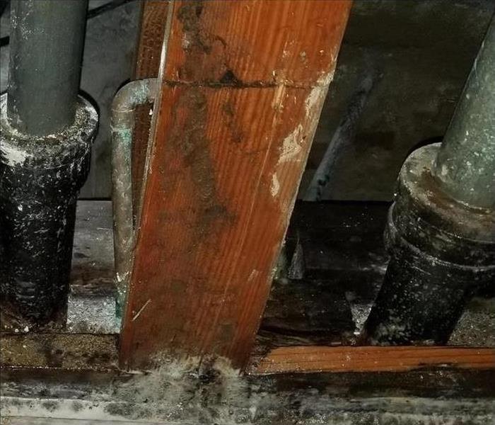 black mold on pipes and structer 