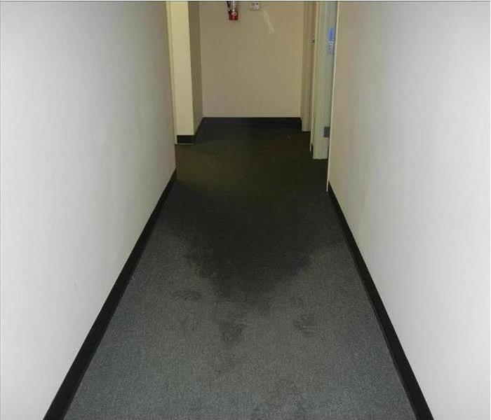 white walls, grey wet carpet in hallway 