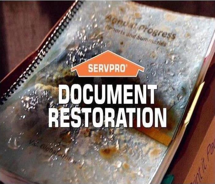 Document Restoration